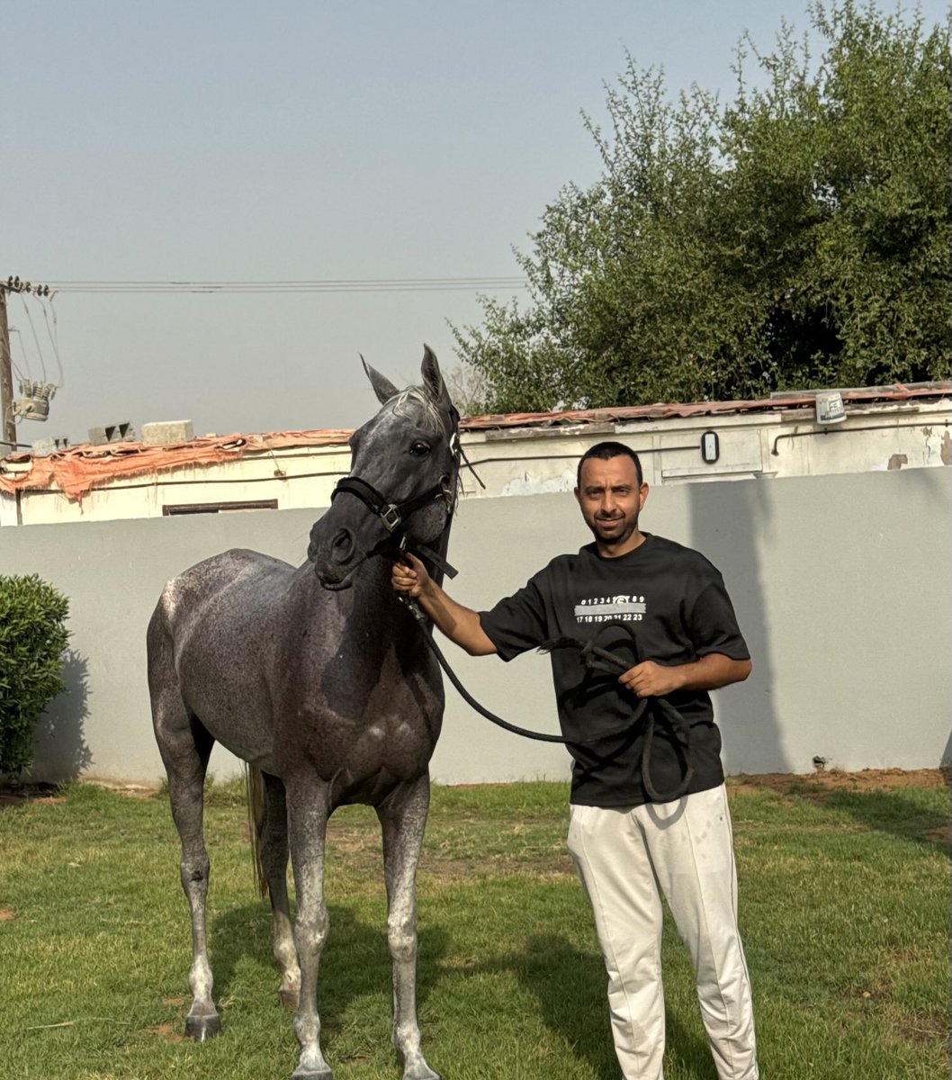 إذا ما الخيلُ ضاقَ بها المدى *** تَصَبَّرتْ والحرُّ فيها يصطبر