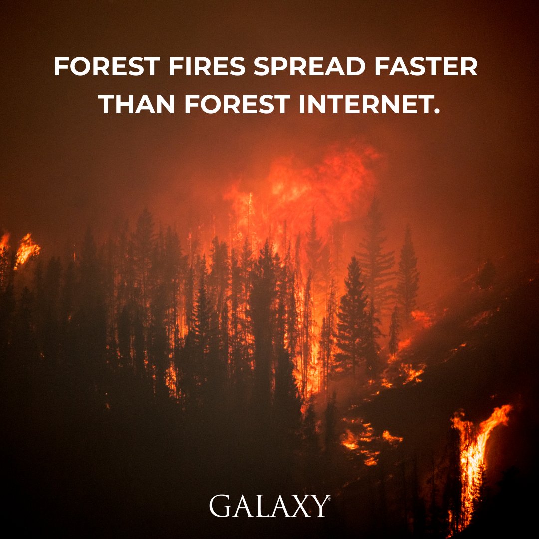 Forestry teams protect our forests, but many still rely on outdated, unreliable networks in Canada’s most fire-prone regions. 

Galaxy Broadband + OneWeb LEO delivers resilient, always-on connectivity for safer, smarter forestry ops. 

galaxybroadband.ca