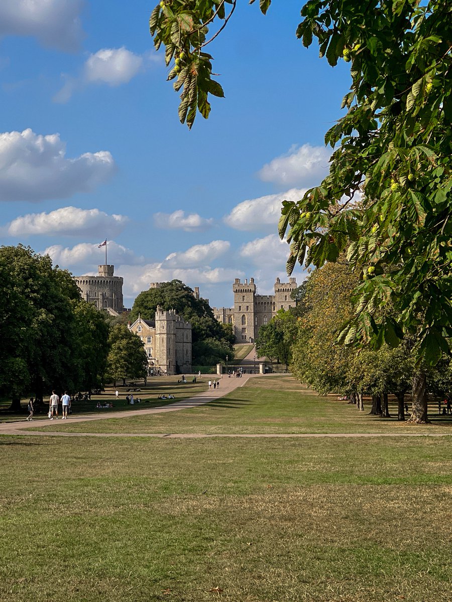 Postcards from Windsor