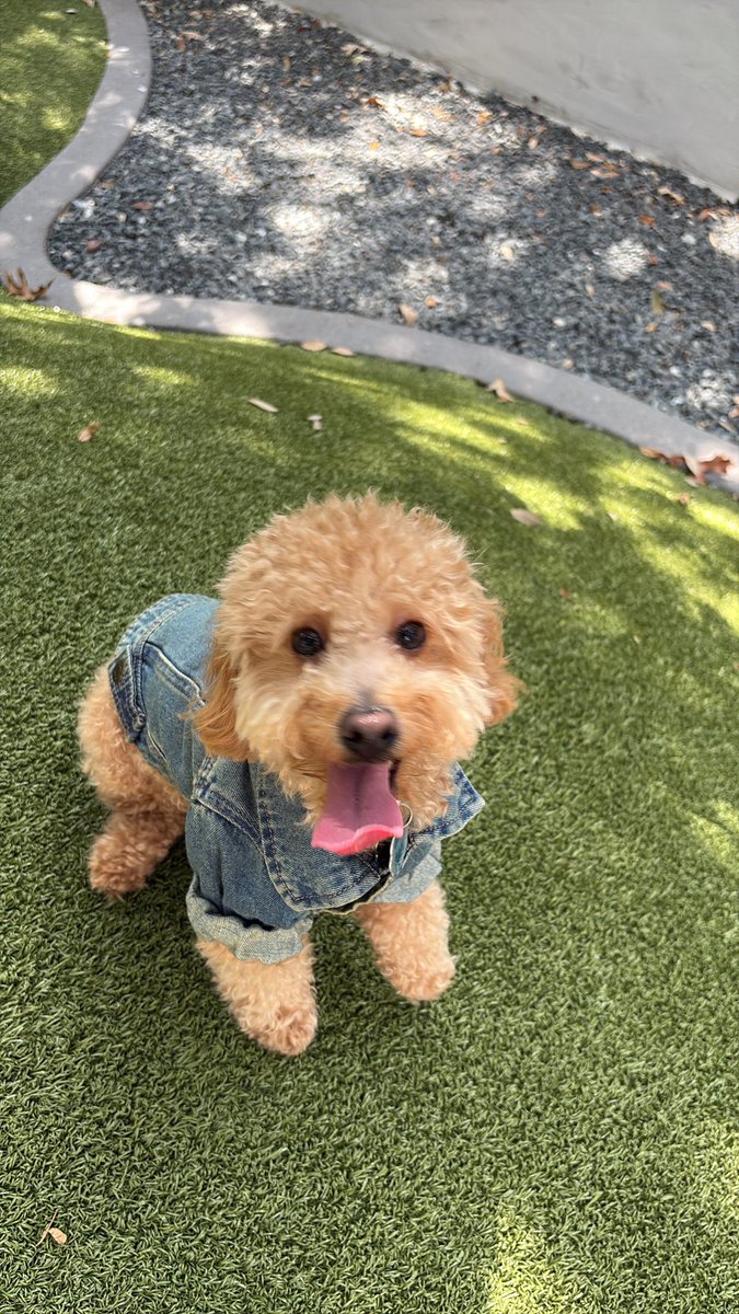 Simp4Mo💕 tweet media