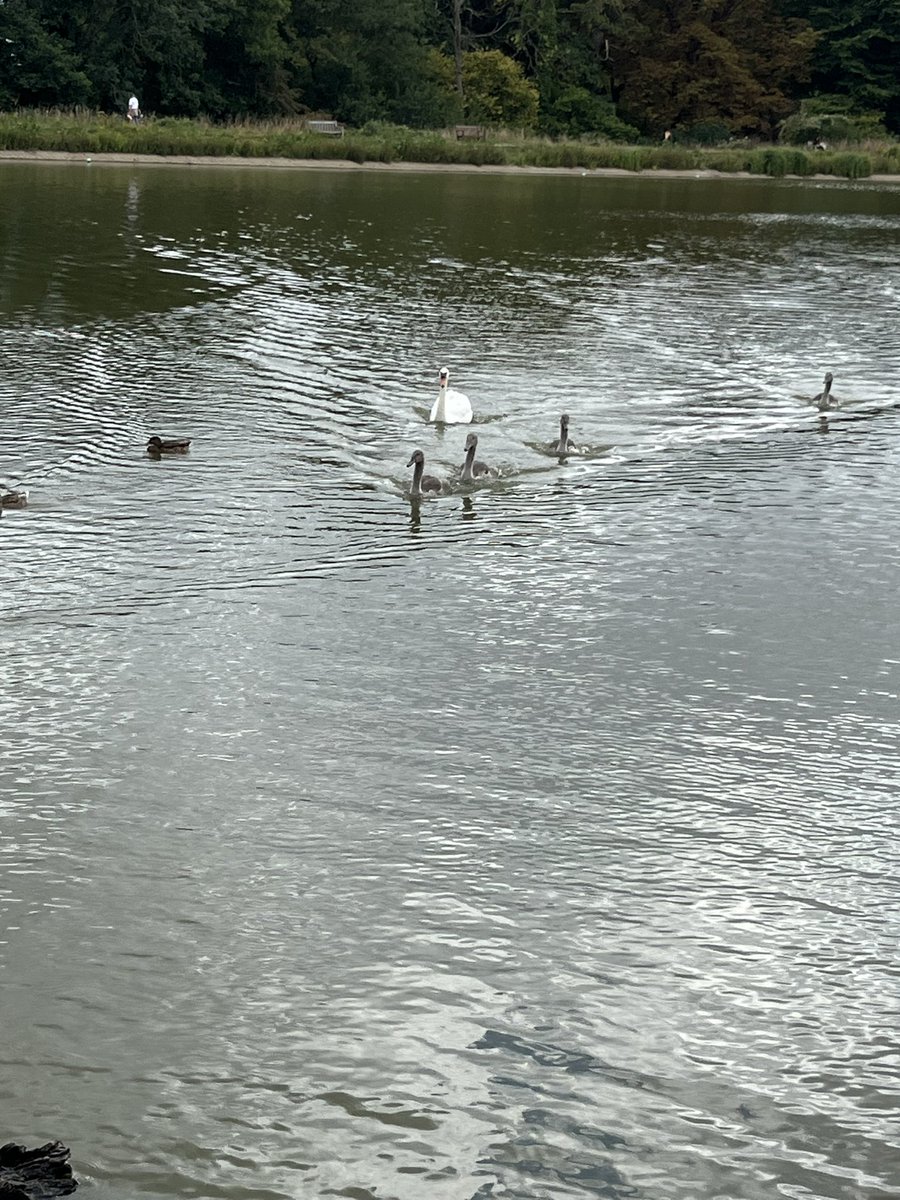 shiv_smith's tweet photo. @sarahholbrook92 @alimully @G_Stephens80 @Chelles2Sorley @suecollins2 @wilkoloopylu @LucyBray9 @KathEvans2 @NorthwayRuth @snabless @firogers3 @castleparkrun Check in oβclock #ActiveAugust #NursesActive #NHS1000Miles https://t.co/3noKR7Hf6w
