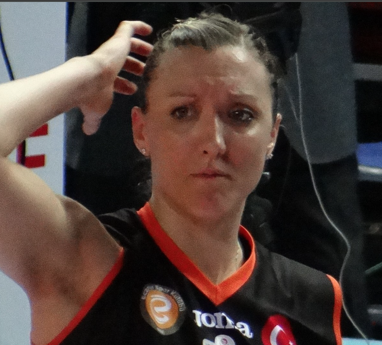 AvidVolley tweet media