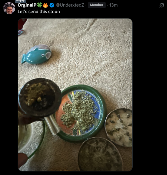 Riskingitall247's tweet photo. not only are our members stoun, but bro also has a FISH FLESHLIGHT... diabolical https://t.co/xjen7AQlT0