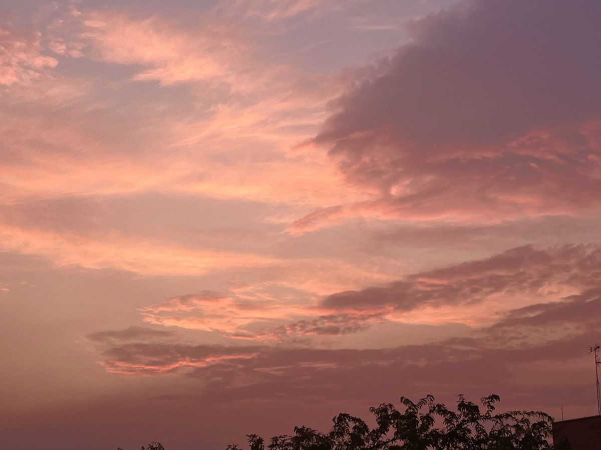 La Sanz (@lulusanzz) on Twitter photo 