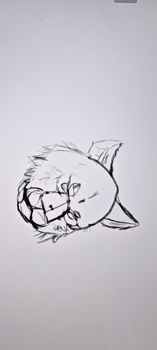 发一下一位老师叫我打草稿画出来的粪作，我是第一天学画画，轻喷😭