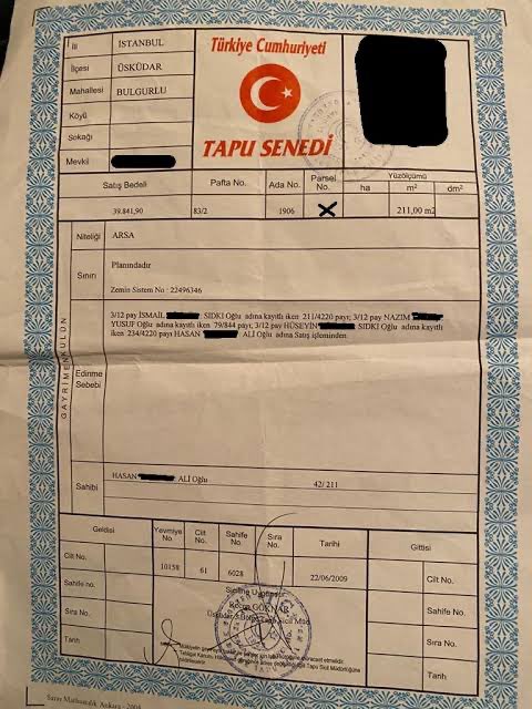 Mustafa Alimoğlu tweet media