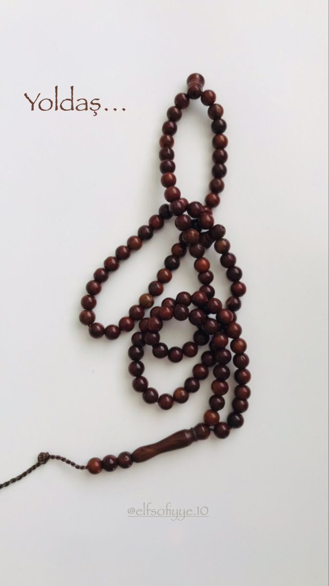 "Hüseyin,benim öpüp kokladığım Reyhanımdır…Hz Fahr-i Alem(as)"