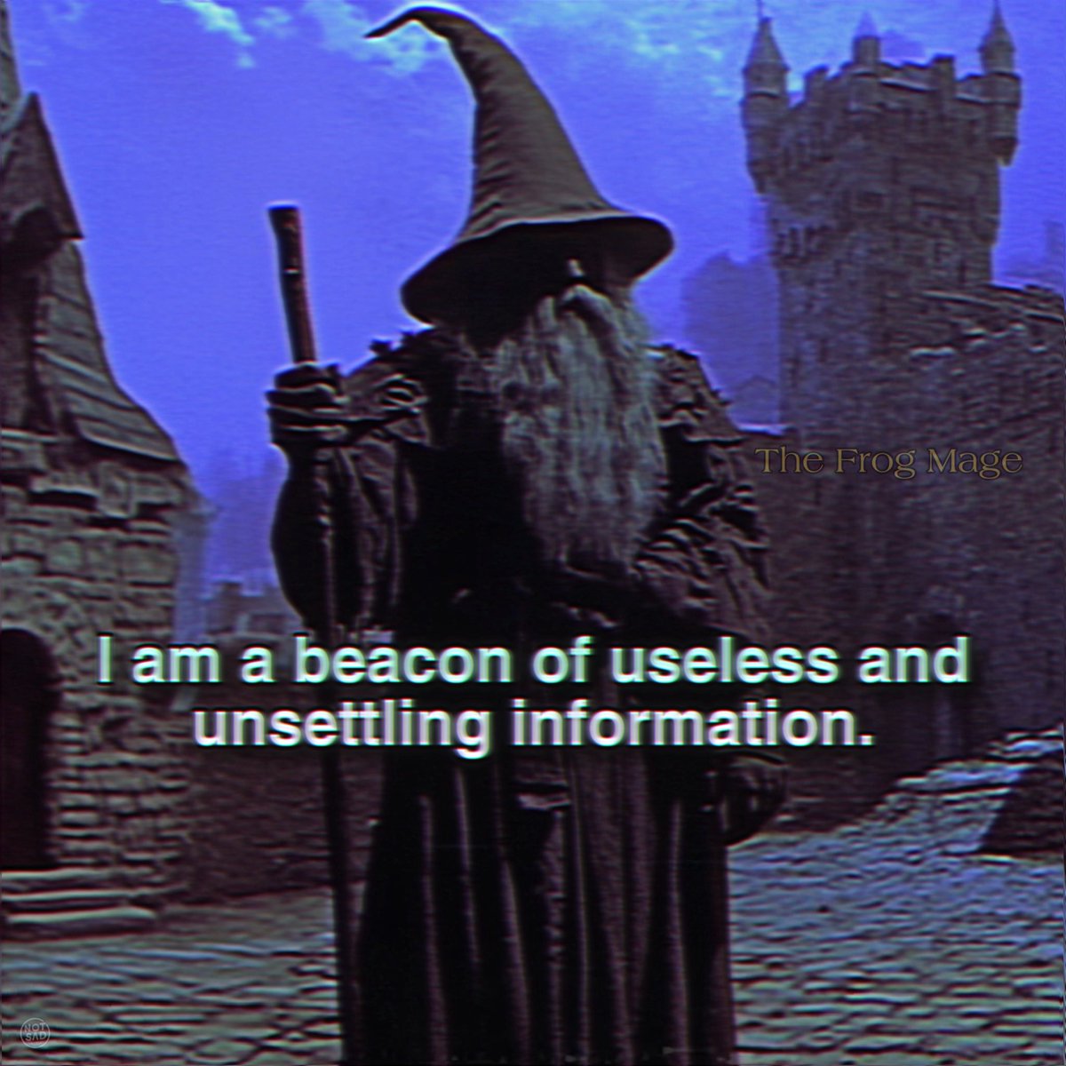 The Frog Mage (@the_frog_mage) on Twitter photo 