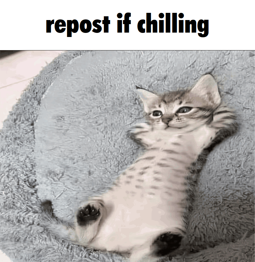 dreamilios been eating well

~$1000 given away in the last day or so in silly little minigames

join the dreamcord and chill w us