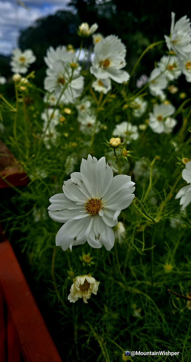 सुनो ______🍁
तुम्हारे लिए ..... बिल्कुल तुम्हारे जैसा ✨️
कैसा  लगा  लिखना जरूर !!