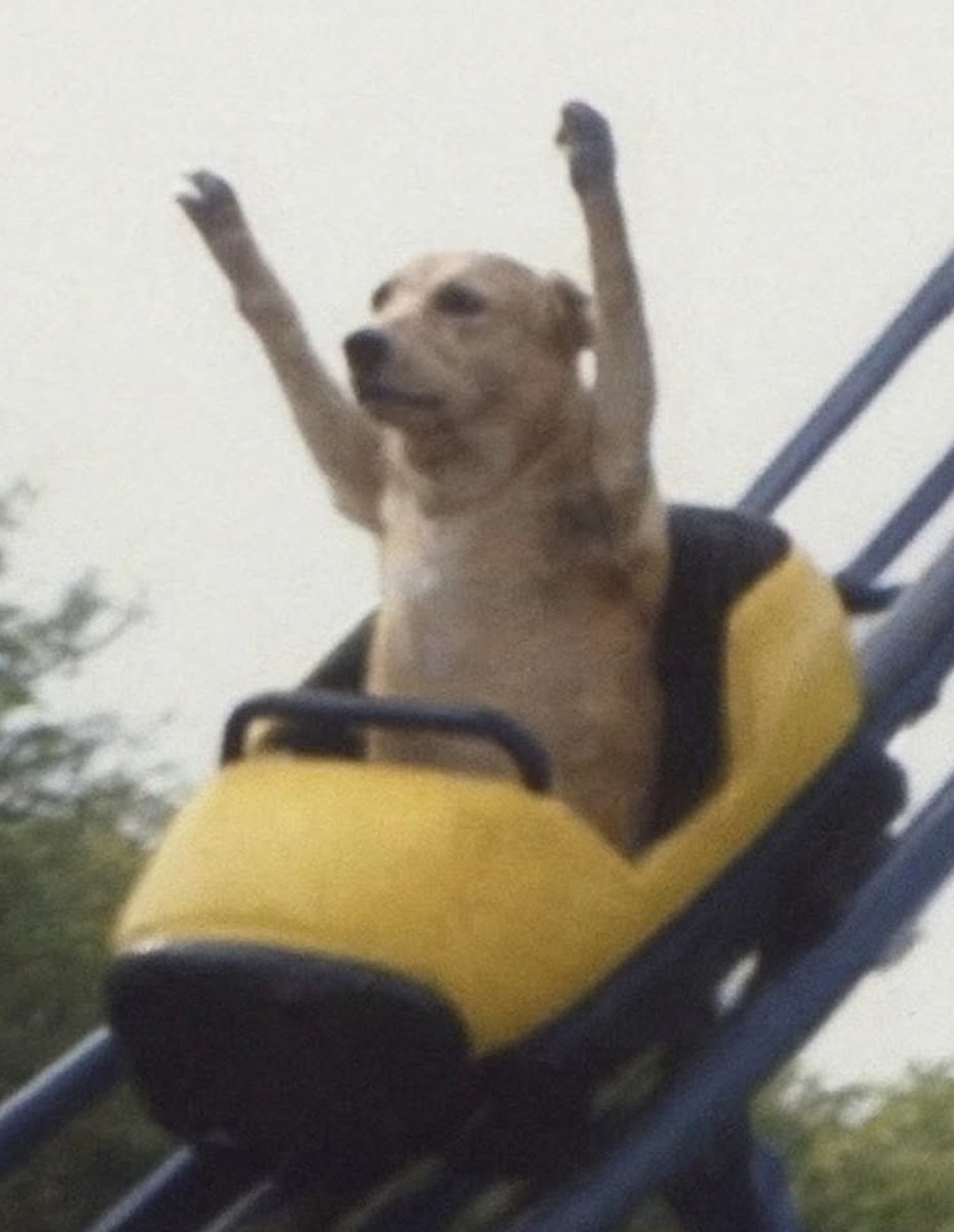 Dis is how current trenches feel like

Doggy arc.