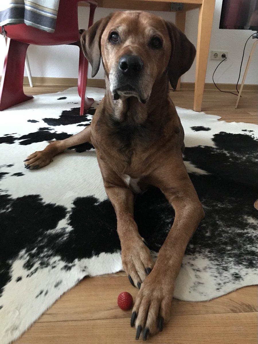 … blume; als sie noch —