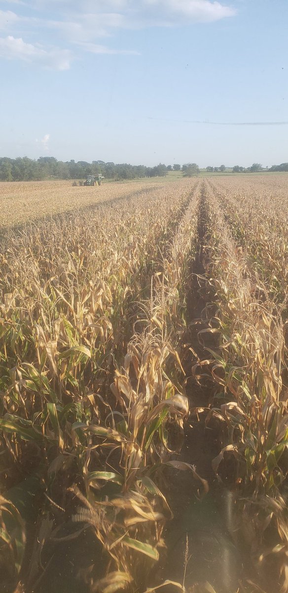 DanielEEdmonds's tweet image. 