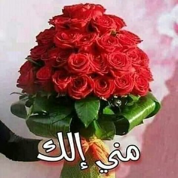 رهام العبسي (@al_bsy7890) on Twitter photo <a href="/y11j2/">ابو محمد</a> <a href="/N2Sdv/">🌸Elaine🌸 ❌No Message❌</a> <a href="/kn_jui/">Bakht Zada🇵🇰f💯</a> <a href="/Ea0Ch/">داعـــم❤️🔥مقيد لاتلغي المتابعه</a> <a href="/Azhrls1/">AZHARUL SALMAN</a> <a href="/V13lula/">Karen Lúcia♀️🚩🌵</a> <a href="/sskoors/">Sskoorss</a> <a href="/Ha_ze_l_1/">𝐇𝐚𝐳𝐞𝐥</a> <a href="/Ldovyka/">✧⃝🇧🇷᯾༄🍃𝑙𝑢𝑑𝑜𝑣𝑦𝑘𝑎🍃 ᯾༄✧⃝🇧🇷</a> <a href="/ZeTeamZ/">Zey</a> <a href="/Kamala_ala/">D.Kamal Awad</a> <a href="/Doctors200/">الدكتوره</a> <a href="/mahahrarae/">د࿐مها࿐الشراري ࿐</a> <a href="/Haron416197/">Haron</a> <a href="/DreamyTechGirl/">DreamyTechGirl 🌺🦋💙</a> <a href="/madaraleirqi1/">مضرالجبوري</a> <a href="/soonsis123/">سعود نيوم@soonsis123</a> <a href="/ngha20199/">🔅نبض المشاعر اللدعم ☀️</a> <a href="/abdllh243/">طويق</a> <a href="/mfq19591/">الصقر ألجارح{🟥}🟥🟥{ #رجاء_الخاص_ممنوع_مهمل🗑️}</a> <a href="/fahoud88/">¸¸ عبدالرحمن ¸¸ღ</a> <a href="/SsaSM7/">السامريه</a> <a href="/Ali1_0o/">علي المحنشي</a> <a href="/1hs101/">أسيره الحب💞</a> <a href="/h_oorl/">🌹S🌹</a> <a href="/y11j3/">ابو محمد</a> <a href="/y11j7/">ابو محمد</a> <a href="/y11j9/">ابو محمد</a> الف شكر على دعمك الراقي والمميز 💐💐🌹 <a href="/y11j2/">ابو محمد</a> <a href="/N2Sdv/">🌸Elaine🌸 ❌No Message❌</a> <a href="/kn_jui/">Bakht Zada🇵🇰f💯</a> <a href="/Ea0Ch/">داعـــم❤️🔥مقيد لاتلغي المتابعه</a> <a href="/Azhrls1/">AZHARUL SALMAN</a> <a href="/V13lula/">Karen Lúcia♀️🚩🌵</a> <a href="/sskoors/">Sskoorss</a> <a href="/Ha_ze_l_1/">𝐇𝐚𝐳𝐞𝐥</a> <a href="/Ldovyka/">✧⃝🇧🇷᯾༄🍃𝑙𝑢𝑑𝑜𝑣𝑦𝑘𝑎🍃 ᯾༄✧⃝🇧🇷</a> <a href="/ZeTeamZ/">Zey</a> <a href="/Kamala_ala/">D.Kamal Awad</a> <a href="/Doctors200/">الدكتوره</a> <a href="/mahahrarae/">د࿐مها࿐الشراري ࿐</a> <a href="/Haron416197/">Haron</a> <a href="/DreamyTechGirl/">DreamyTechGirl 🌺🦋💙</a> <a href="/madaraleirqi1/">مضرالجبوري</a> <a href="/soonsis123/">سعود نيوم@soonsis123</a> <a href="/ngha20199/">🔅نبض المشاعر اللدعم ☀️</a> <a href="/abdllh243/">طويق</a> <a href="/mfq19591/">الصقر ألجارح{🟥}🟥🟥{ #رجاء_الخاص_ممنوع_مهمل🗑️}</a> <a href="/fahoud88/">¸¸ عبدالرحمن ¸¸ღ</a> <a href="/SsaSM7/">السامريه</a> <a href="/Ali1_0o/">علي المحنشي</a> <a href="/1hs101/">أسيره الحب💞</a> <a href="/h_oorl/">🌹S🌹</a> <a href="/y11j3/">ابو محمد</a> <a href="/y11j7/">ابو محمد</a> <a href="/y11j9/">ابو محمد</a> الف شكر على دعمك الراقي والمميز 💐💐🌹