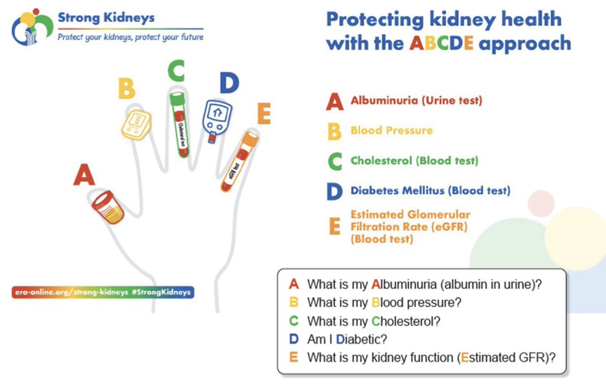 🆕🆕ABCDE Approach to protect kidneys

A-Albuminuria

B-Blood Pressure

C-Cholesterol

D-Diabetes

E-eGFR

doi.org/10.1093/ndt/gf…

<a href="/NDTsocial/">NDT</a> <a href="/hjanders_hans/">Hans-Joachim Anders</a>