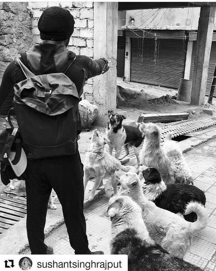 Sushant A Man On Mission , leaving footprints of inspiration💫

#SushantSinghRajput𓃵  ✨