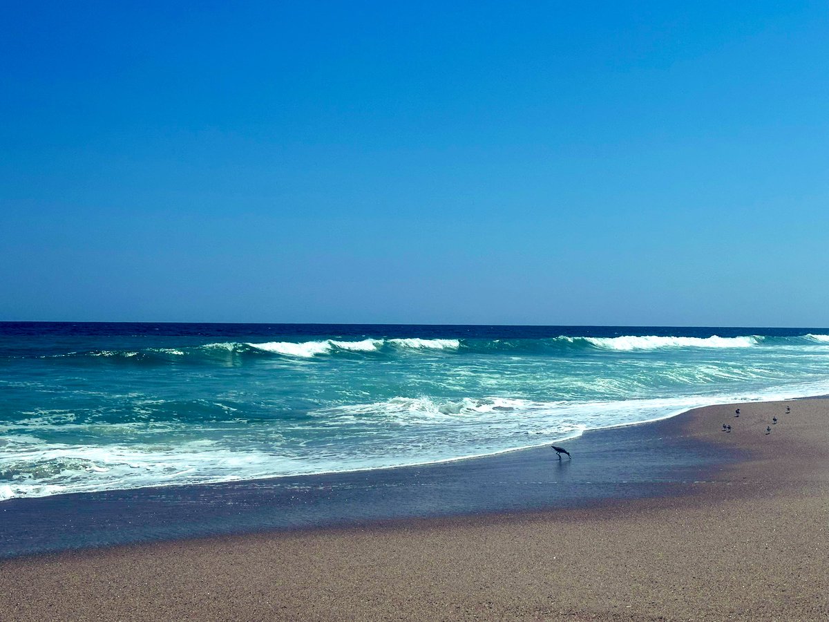 Surf is starting to improve courtesy of Erin 🤙🏻