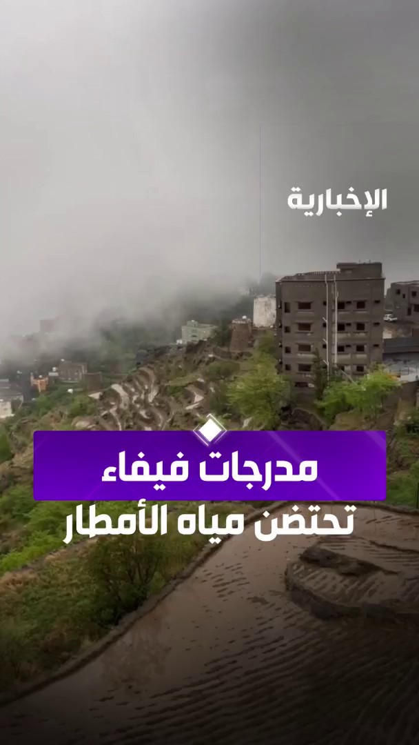 مدرجات فيفاء تستقبل مياه الأمطار الغزيرة اليوم، لتصنع لوحة طبيعية ساحرة في المحافظة. عبر مراسل الإخبارية عبد الله الفيفي 