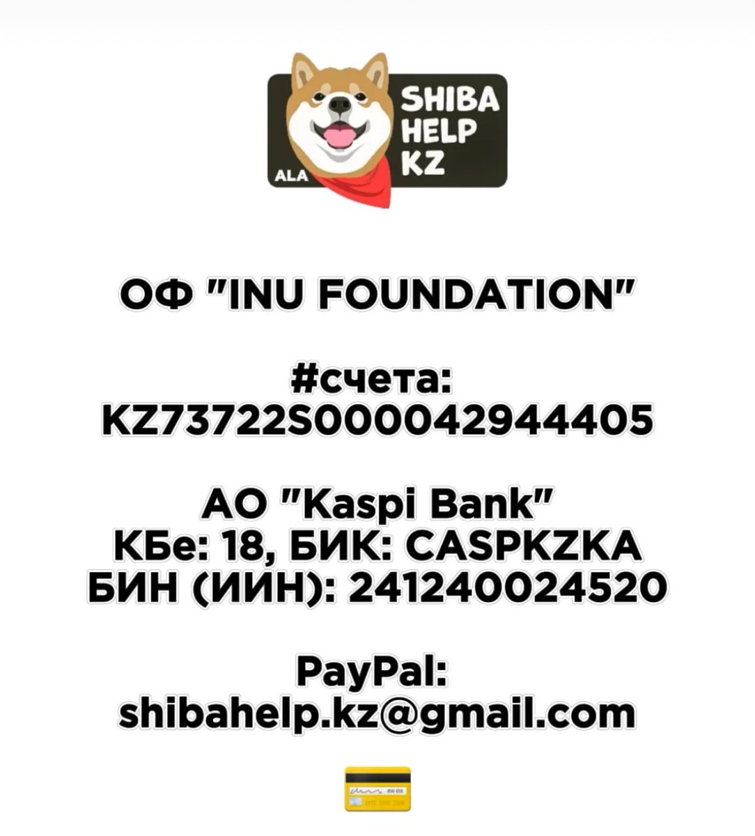 Белка-шелтяга tweet media