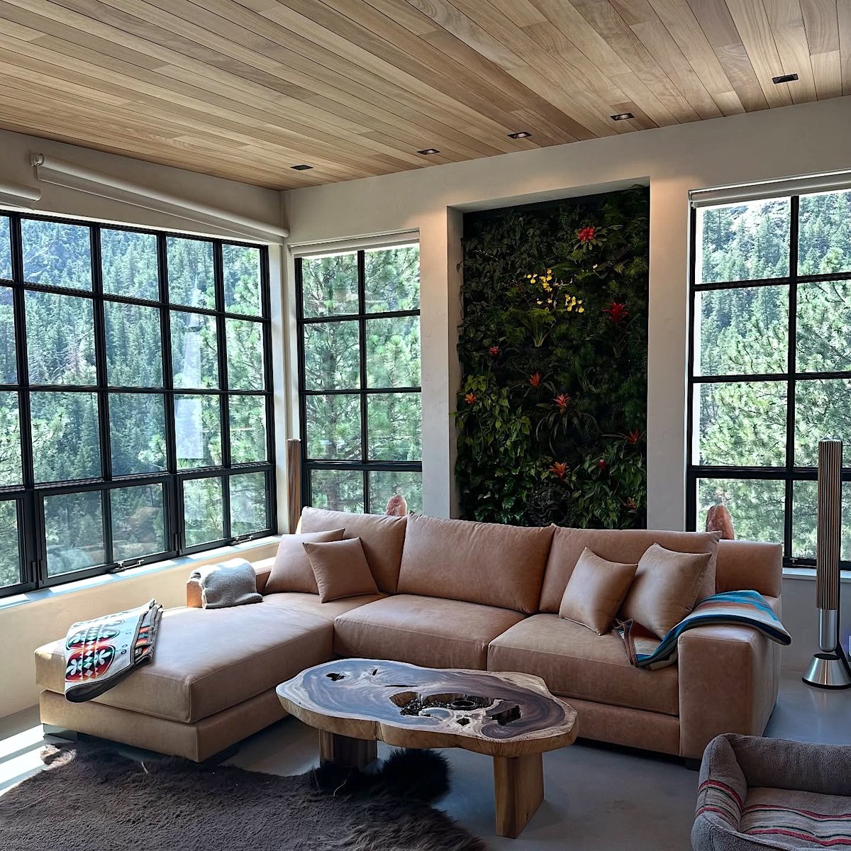 Nathan Anthony® tweet media