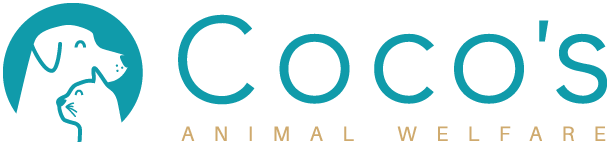 Help us sterilize 1000 animals for FREE in 3 days/ Ayúdanos a esterilizar 1000 animales GRATIS en 3 días - mailchi.mp/cocosanimalwel…