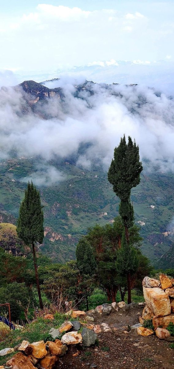 من محمية عتمة محافظة ذمار