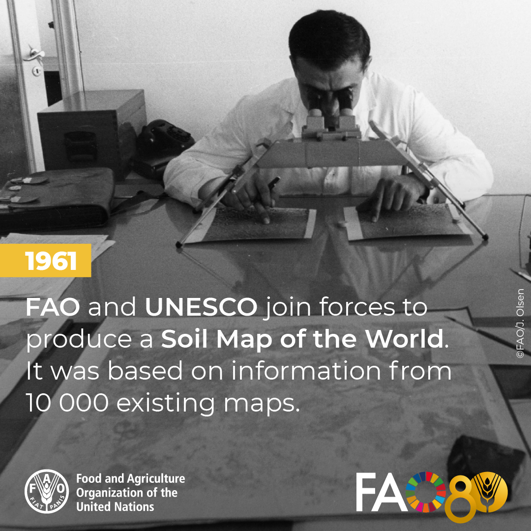 FAO Knowledge (@faoknowledge) on Twitter photo Healthy soils mean healthy, safe, and nutritious food.
Browse the <a href="/FAO/">Food and Agriculture Organization</a> soils portal for latest information and knowledge on this vital and finite resource.
👉 fao.org/soils-portal/e…
#FAO80 #MemoryMonday Healthy soils mean healthy, safe, and nutritious food.
Browse the <a href="/FAO/">Food and Agriculture Organization</a> soils portal for latest information and knowledge on this vital and finite resource.
👉 fao.org/soils-portal/e…
#FAO80 #MemoryMonday