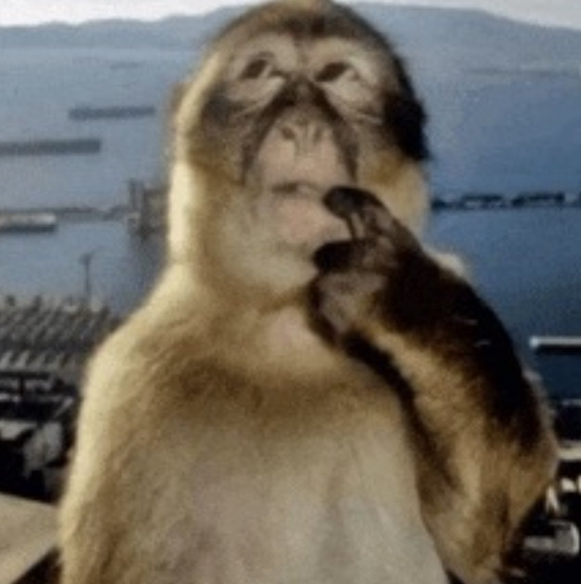 I would draw this out. But im already shy n embarrassed abt my art in general so angsty art would probanly kill. Me . 
Maaybee tho idk no promises