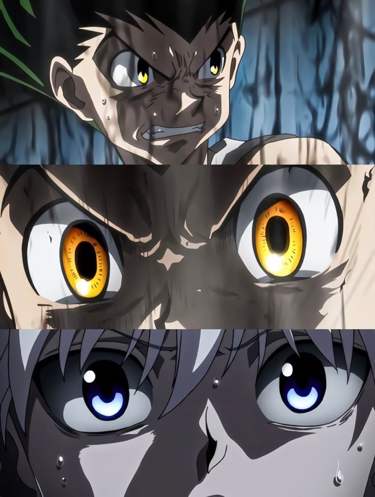 Hunter x Hunter Vibes (@vibinghxh) on Twitter photo 