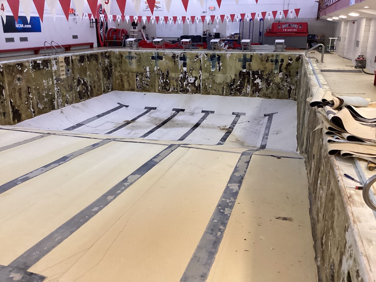 RenoSysPools's tweet image. This could be your pool by spring - but only if you start now. Renovate this winter, avoid disruption, and save with seasonal discounts. 

buff.ly/Buk7uz5

#pools #poolrenovation #poolrestoration