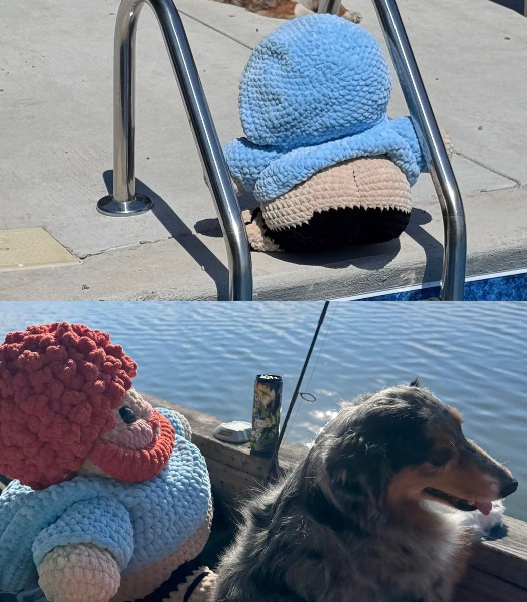 CaseOh’s mom has been sharing images of Jumbo Case on adventures with her and Pepper