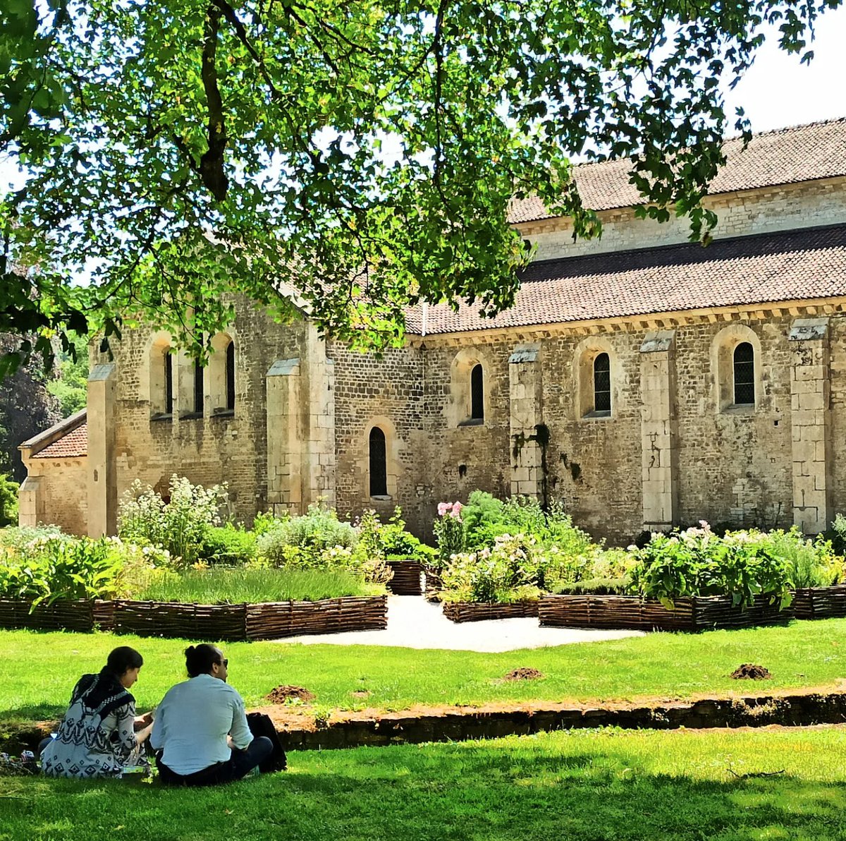 🟢 𝗝𝗢𝗨𝗥𝗡𝗘́𝗘 𝗗𝗘 𝗟𝗔 𝗣𝗛𝗢𝗧𝗢𝗚𝗥𝗔𝗣𝗛𝗜𝗘 📸 | « Que vous êtes belle, ma bien-aimée ! que vous êtes belle ! » Saint Bernard de Clairvaux

Aujourd’hui, nous célébrons la photographie et #Fontenay est une source d’inspiration inépuisable. ✨

©️ remivoyages_bfc