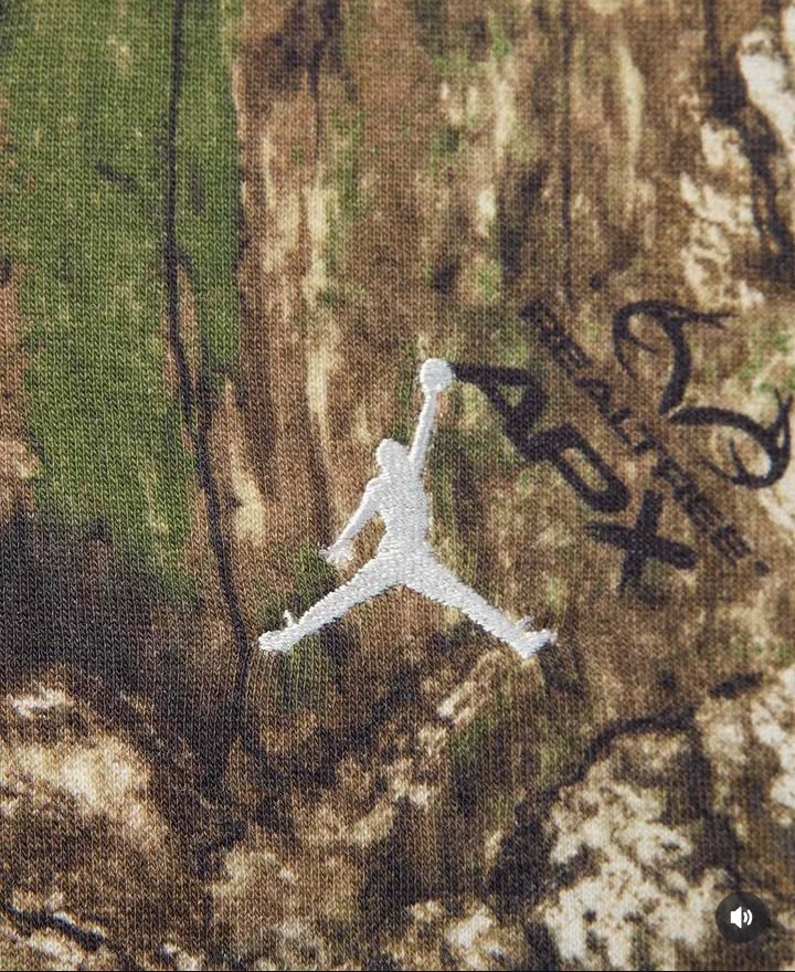 DahnDahlas's tweet photo. @Jumpman23 #RealTreeCamo coming out ? 🤔 These sneakers I designed awhile back would 💥 with that collection 💫 https://t.co/roTAh9q9tp