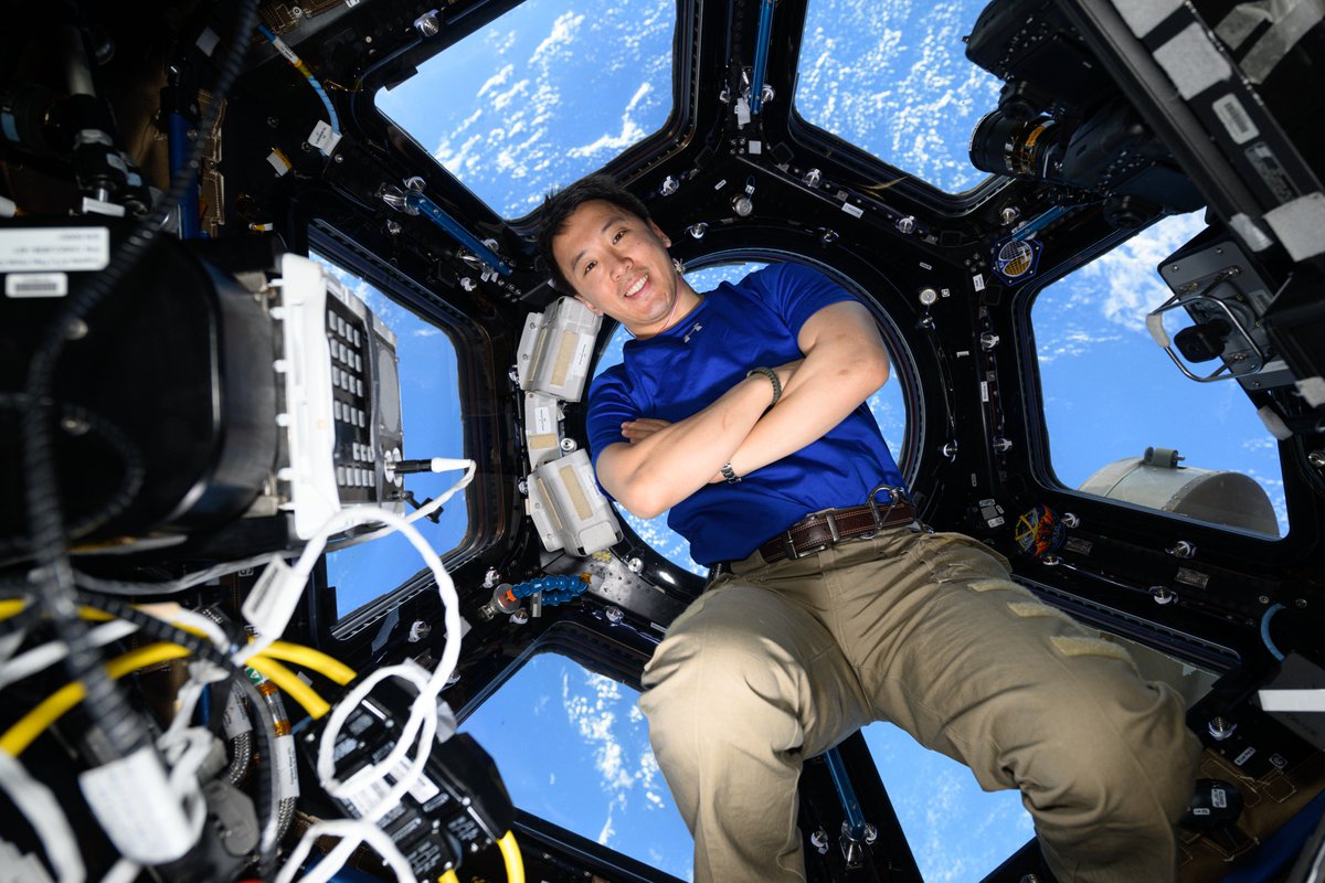 NASAJohnson's tweet photo. Wondering about what it's like to live in space? 👀 

We've got you covered. Check out answers to frequently asked questions about life on International @Space_Station, surprising details about what happens to the body in space, and so much more. https://t.co/GxpfAeDT4R https://t.co/JQ5a6JnTdN