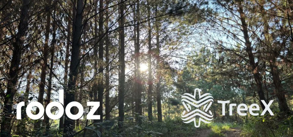 DefenseLrca's tweet photo. RADAZ e TreeX firmam parceria exclusiva para aplicação de radar SAR no setor de florestas plantadas
#RADAZ #TreeX #radar #SensoriamentoRemoto #RadarSAR #RadarRD350
https://t.co/kjMF3wdHkR https://t.co/ldPt7l4zBN