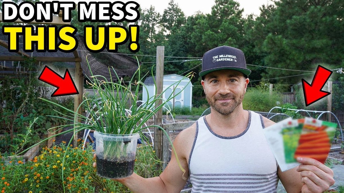 NCGardening's tweet photo. New YouTube video! Not planting these 5 awesome crops this #Fall is a HUGE mistake! Grow more #food with less effort, plant these easy #crops now! ๐
https://t.co/2OGGn7pgqm
โโโ
#garden #gardening #vegetablegarden #vegetablegardening #fallgarden https://t.co/Msj76JCZeb