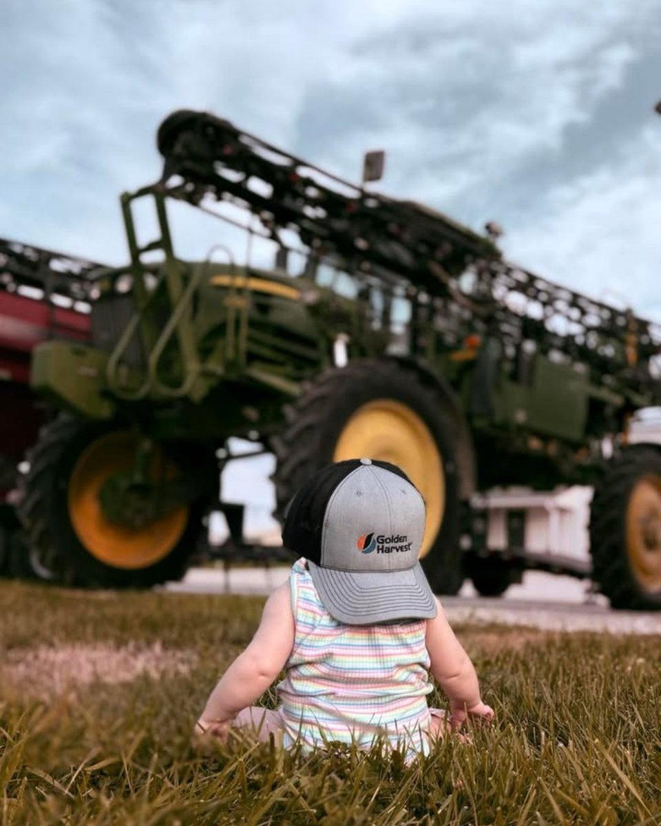Someone’s ready for harvest!🧡 #GrowGolden

📸 credit: Jennifer Miller and Clete Miller from Miller Ag Service