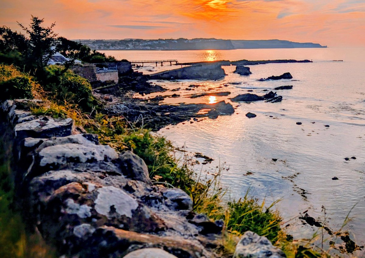 Anne Kelly ⛔NO DMs⛔ unless I know or follow you. tweet media