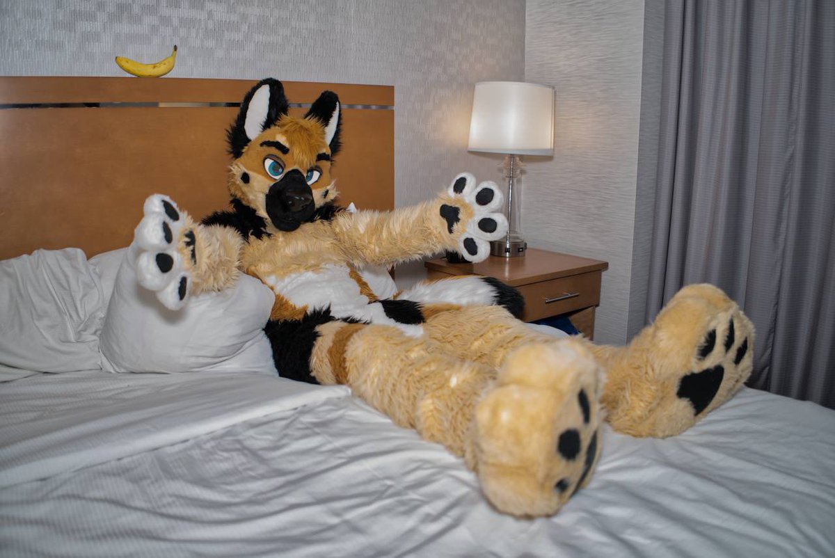 โค๏ธ๐พH.M.S. ใฒใพใ ๐พโค๏ธ ๐ NFC-Furciety ๐ (@himaru_shepherd) on Twitter photo Need a big shep plush for tonight? ๐๐
#MFYMonday
๐ธ <a href="/kealianwolf/">kealian ๐ F M / BFD 17 / MFF</a> Need a big shep plush for tonight? ๐๐
#MFYMonday
๐ธ <a href="/kealianwolf/">kealian ๐ F M / BFD 17 / MFF</a>