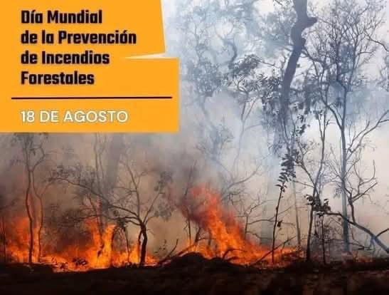 El 18 de agosto se celebra el Día Mundial de la Prevención de Incendios Forestales, para concienciar a la población de la necesidad de cuidar y preservar nuestros bosques.
#LaHabanaViveEnMí