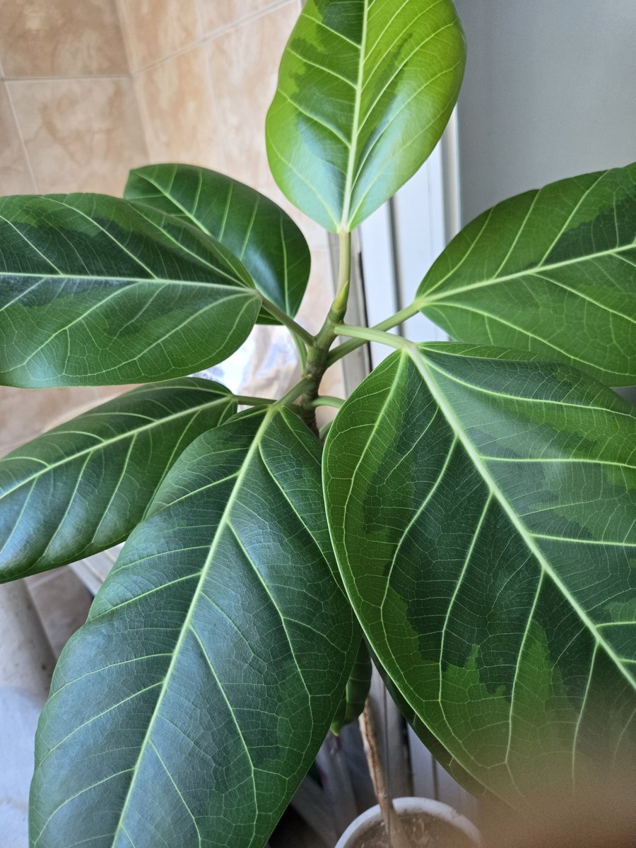 여수지부 신천지자원봉사자 200명, 폐부표부터 생활폐기물까지! 해수욕장 20톤 쓰레기 줍줍✨ 
우리 바다 더 맑아졌어요! 

#여수 #포항 #청주 #부천 #부산 
#서울 #울산 #창원 #진주 #강릉
#신천지자원봉사 #클린바다
#해수욕장  #쓰레기OUT! 
#자연정화  #환경보호

vo.la/YkpcOw