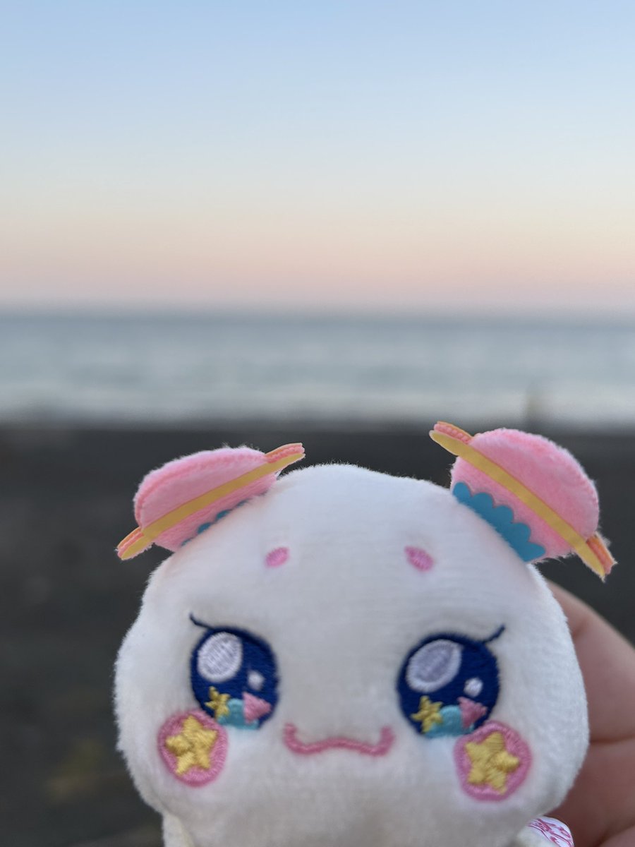 1点限定くまパン くまパン🐻🩲 (@kuma_pan01) / X