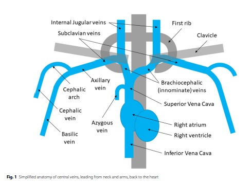 Isidro Manrique (@uciero) on Twitter photo Guia de práctica clínica en hemodiálisis de la <a href="/UKKidney/">The UK Kidney Association</a>
Espectacular, y con una infografía de la fontanería torácica muy recomendable.
elenfermerodelpendiente.com/2025/08/18/gui… Guia de práctica clínica en hemodiálisis de la <a href="/UKKidney/">The UK Kidney Association</a>
Espectacular, y con una infografía de la fontanería torácica muy recomendable.
elenfermerodelpendiente.com/2025/08/18/gui…
