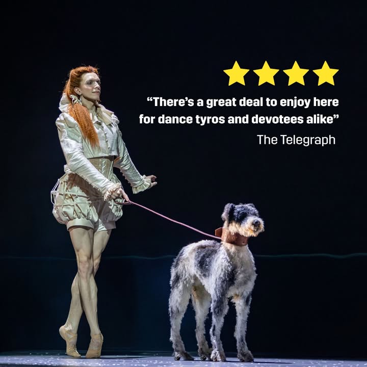 Edinburgh International Festival tweet media