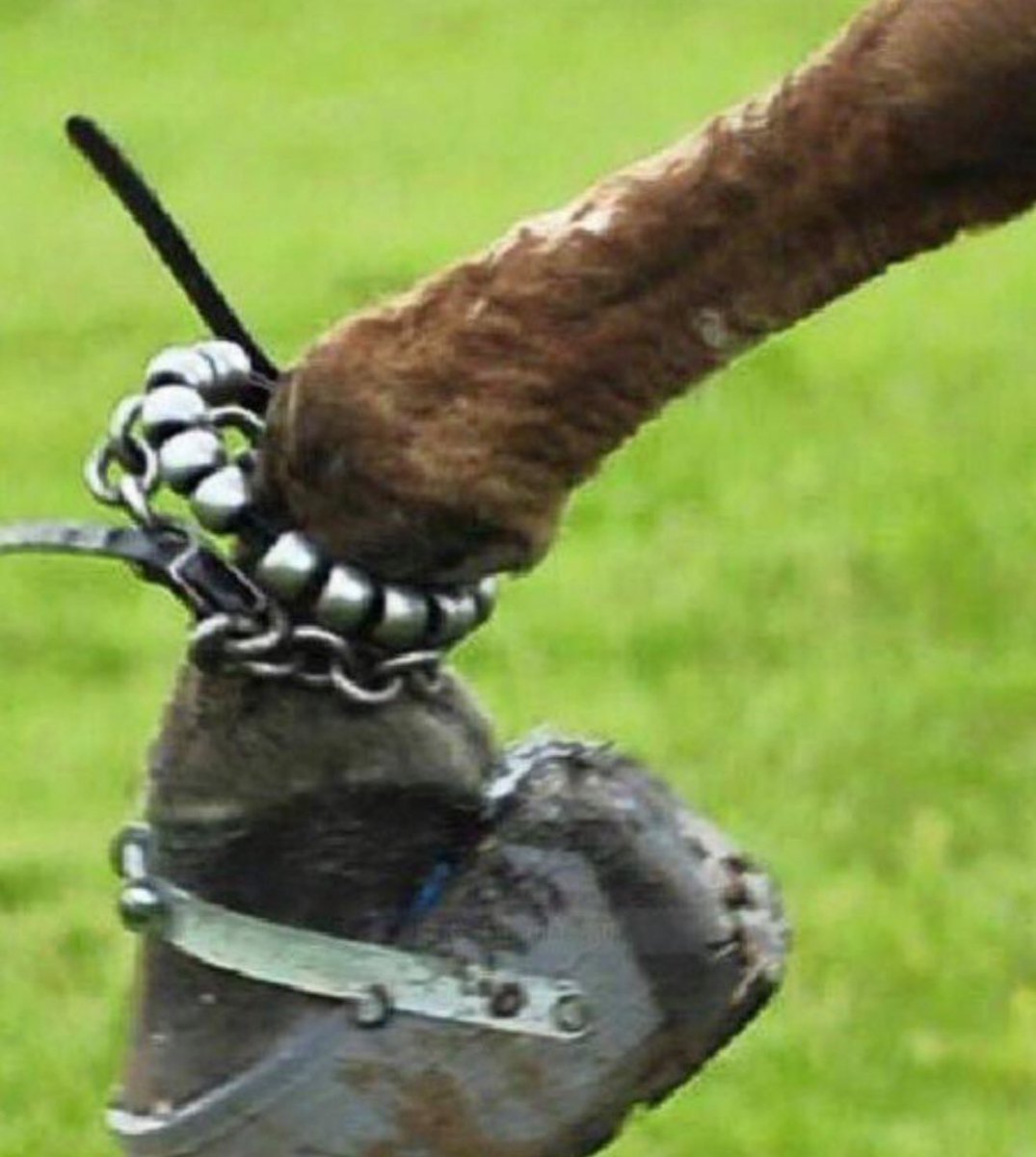 Perrymanlobby's tweet photo. @CarolinaJournal Soring of Tennesee Walkers is a cruel and disgusting way to “train” a horse. Putting “stacks” on a horse’s hooves, then a caustic substance and a weighted donut that slams into their hoof (causing them to lift higher) is torture. #BanTheBigLick #Abuse https://t.co/s3XFGYhxQG