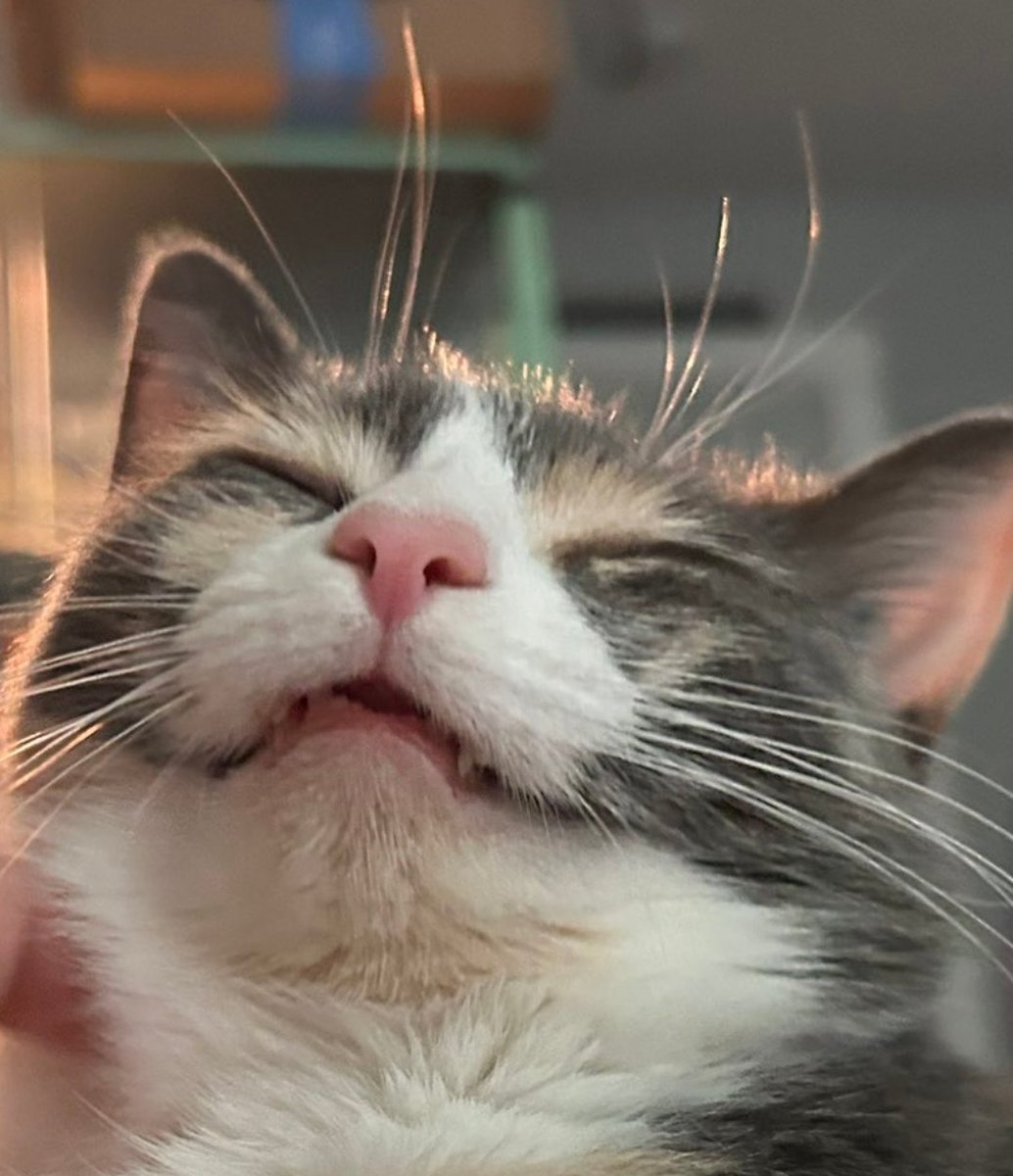 communicating with the mothership