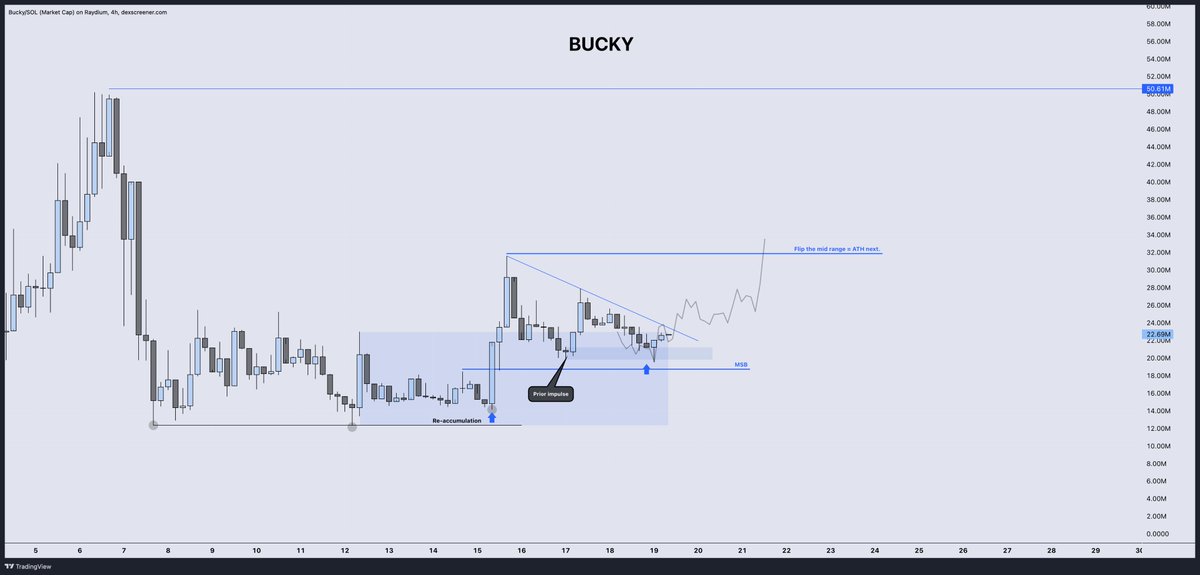 DonnyDicey's tweet image. The technical setup is very close here.

I've updated every step of the way.

Just know: if it pushes above $25.6M, it is likely going to test $31.8M — that's the level for if you get a convincing break, price will rotate to a new all-time high.

There hasn't been a character…