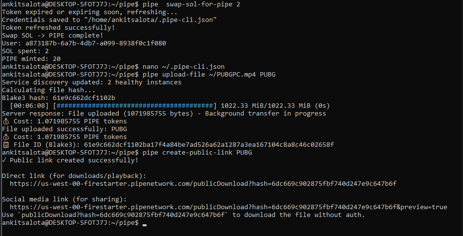 ankitsalota's tweet photo. here is my @pipenetwork storage link 

https://t.co/rqduPb454u https://t.co/stGdunBqo0
