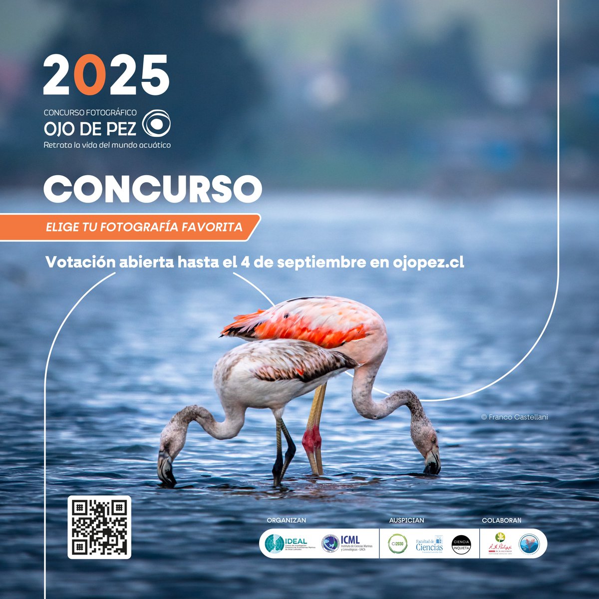 Centro IDEAL tweet media