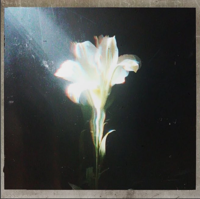 Bebe Rexha Stan tweet media